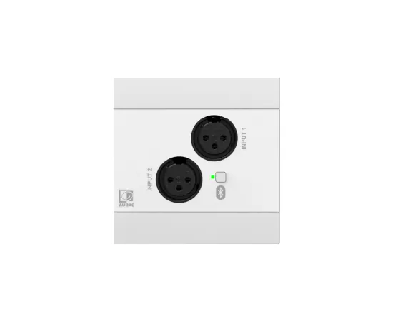 Audac AUDAC NWP220/W Sieciowy panel wejściowy audio - 2 x XLR + BT (4 CH) Wersja biała