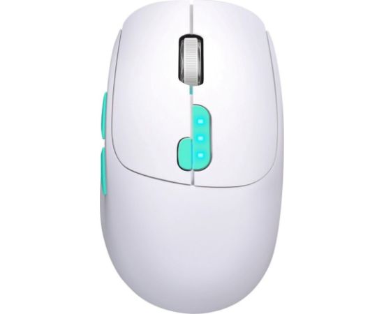 MOUSE DEFENDER NITTA MM-307 RF+BT OPTIC 1600dpi 6P WHITE