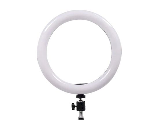 Fusion A01 universāls turētājs + lampa blogeriem un strīmeriem
