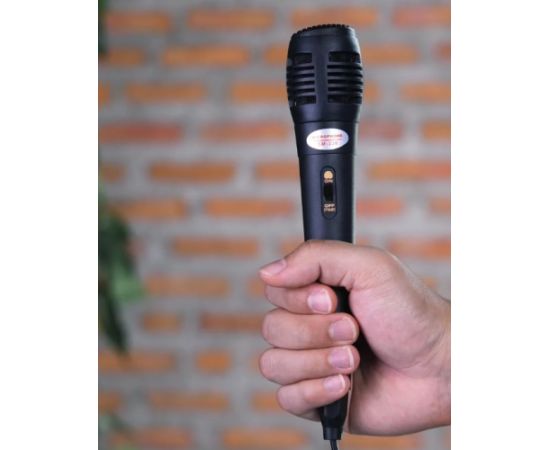 RoGer 338 Karaoke Vadu Mikrofons 1.2m