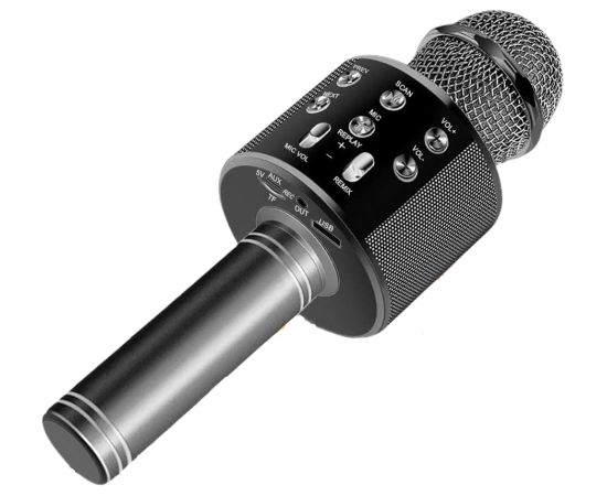 RoGer Bluetooth Микрофон Караоке с Колонкой / 2x 5W / Aux / USB / MicroSD / черный
