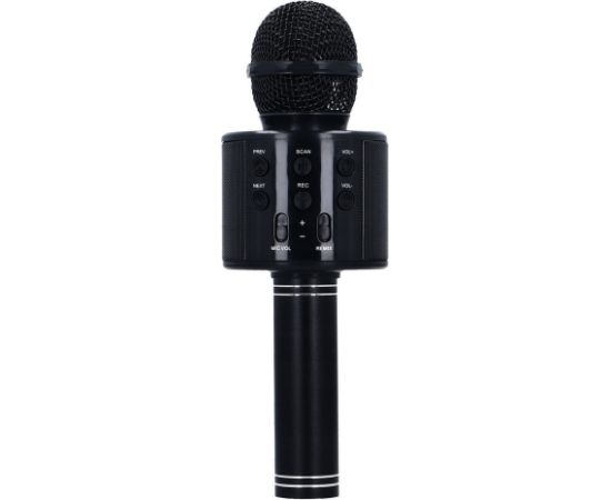 RoGer Bluetooth Микрофон Караоке с Колонкой / 2x 5W / Aux / USB / MicroSD / черный
