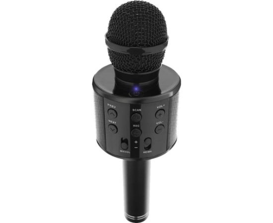 RoGer Bluetooth Микрофон Караоке с Колонкой / 2x 5W / Aux / USB / MicroSD / черный