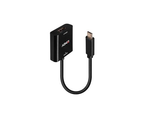 Lindy - видеоадаптер - 24 pin USB-C to DisplayPort - 21 см
