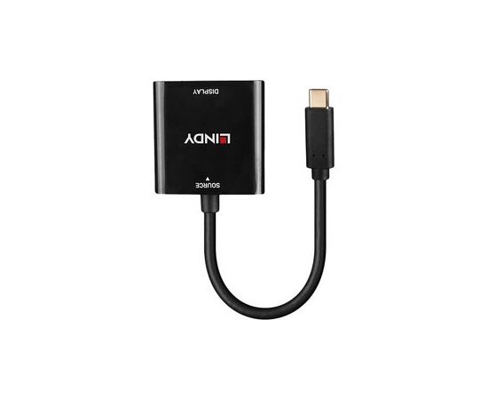 Lindy - видеоадаптер - 24 pin USB-C to DisplayPort - 21 см