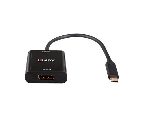 Lindy - видеоадаптер - 24 pin USB-C to DisplayPort - 21 см