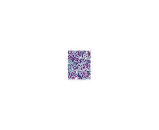 Sally Hansen Insta-Dri 9,17ml