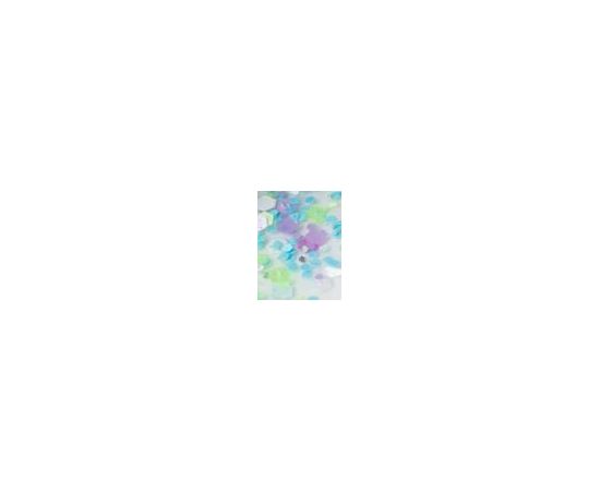 Gabriella Salvete GeLove / UV & LED 8ml W / Nail Polish