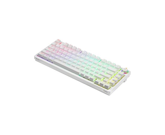 Klaviatūra Savio Wireless Mechanical Phenix White 75% Outemu Red Pro