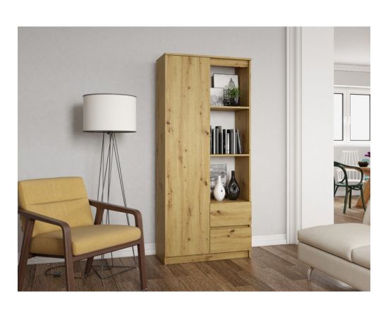 Top E Shop Topeshop RS-80 BILY ART office bookcase