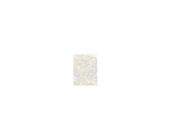 Essie Special Effects / Nail Polish 13,5ml