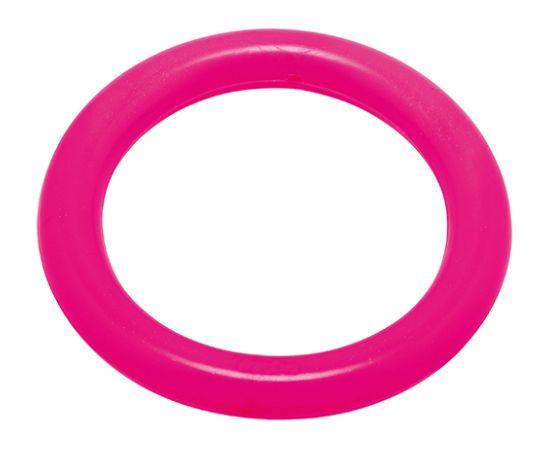 Diving ring FASHY 4204 43 neon pink