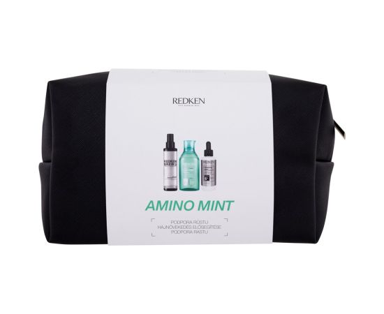 Redken Amino-Mint / Shampoo 300ml