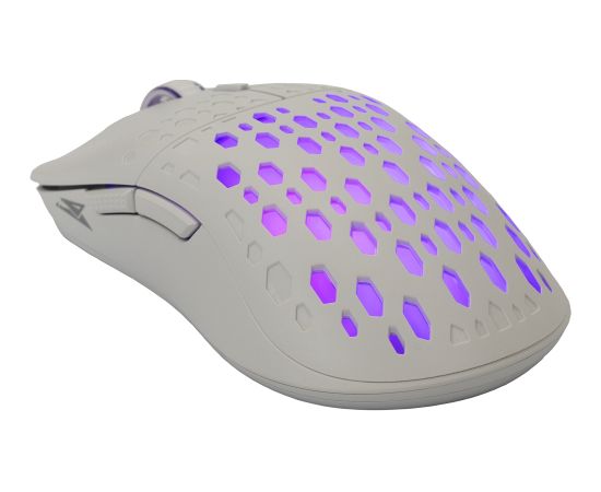 Baracuda BGM-022 OCTOPUS White