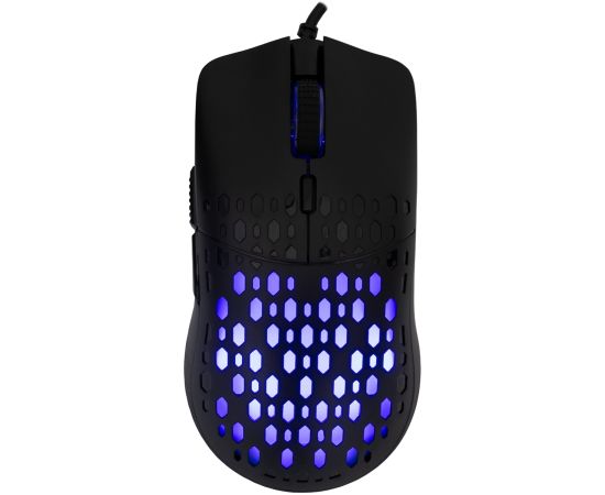 Baracuda BGM-021 OCTOPUS Black