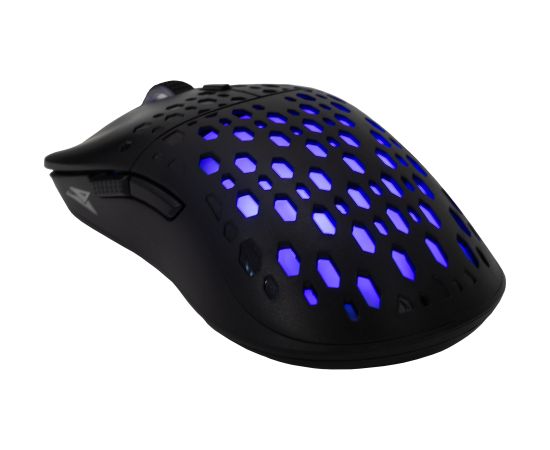 Baracuda BGM-021 OCTOPUS Black