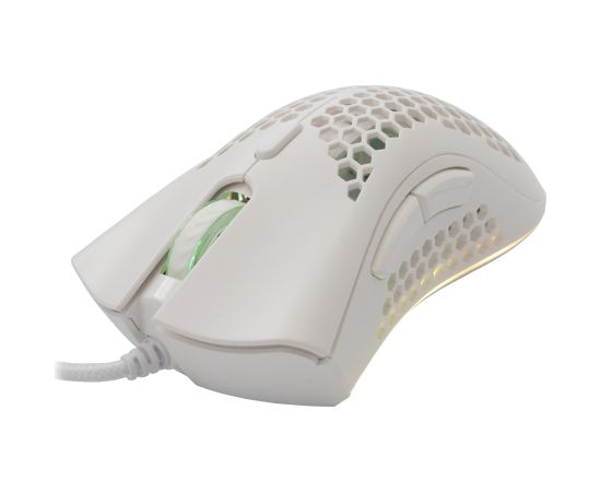Baracuda BGM-032 Coral White