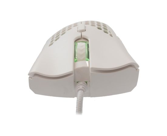 Baracuda BGM-032 Coral White