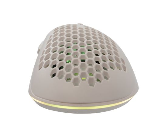 Baracuda BGM-032 Coral White