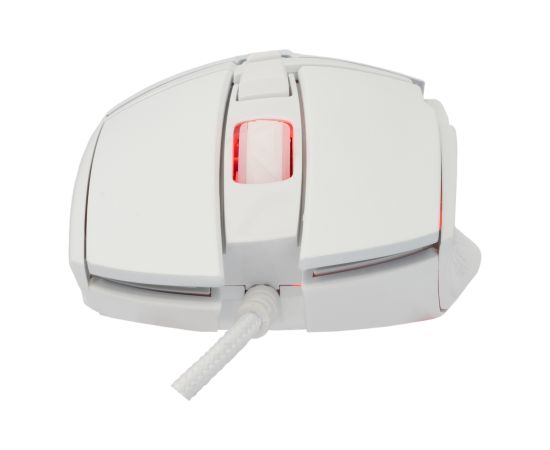 Baracuda BGM-051 Raptor White