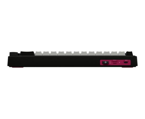 Wireless mechanical gaming keyboard Pro, 2.4 GHz, BT, RGB Backlight, 16 modes, 66 keys, 50M presses, linear Lorgar Toxic Purple switches, multimedia knob, built-in 3750 mAh battery, Hot Swap, Gasket mount, spring cable 2.3m, black red white