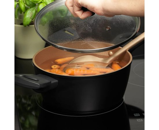 Russell Hobbs RH01669BEU7 Opulence stockpot 20cm black
