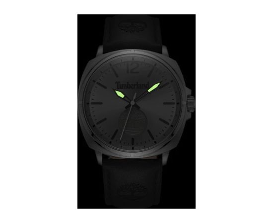 Timberland Williston TDWGA0010602