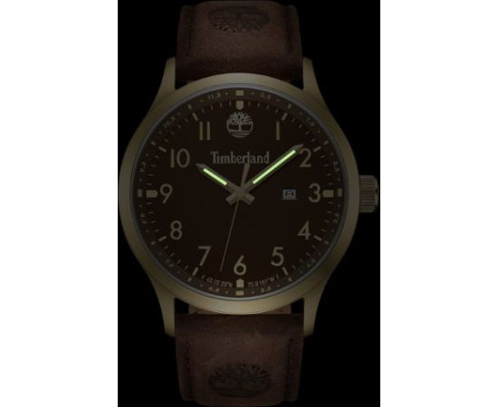 Timberland Trumbull TDWGB0010104