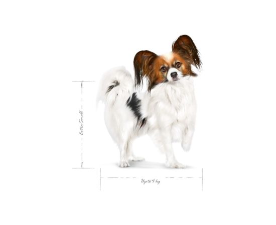 ROYAL CANIN Adult x- small SHN - dry dog food - 0,5kg