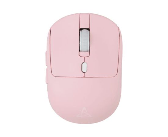 Sbox WM-710 Pink Wireless