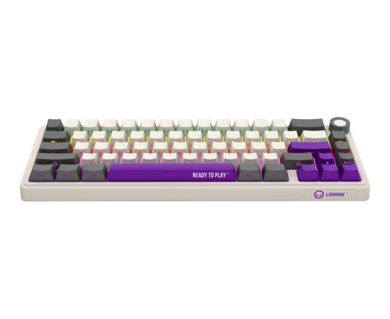 Wireless mechanical gaming keyboard Pro, 2.4 GHz, BT, RGB Backlight, 16 modes, 66 keys, 50M presses, linear Lorgar Toxic Purple switches, multimedia knob, built-in 3750 mAh battery, Hot Swap, Gasket mount, spring cable 2.3m, beige grey purple