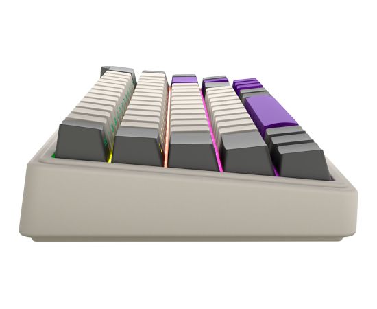 Wireless mechanical gaming keyboard Pro, 2.4 GHz, BT, RGB Backlight, 16 modes, 66 keys, 50M presses, linear Lorgar Toxic Purple switches, multimedia knob, built-in 3750 mAh battery, Hot Swap, Gasket mount, spring cable 2.3m, beige grey purple