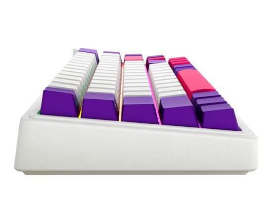 Wireless mechanical gaming keyboard Pro, 2.4 GHz, BT, RGB Backlight, 16 modes, 66 keys, 50M presses, linear Lorgar Toxic Purple switches, multimedia knob, built-in 3750 mAh battery, Hot Swap, Gasket mount, spring cable 2.3m, white red purple