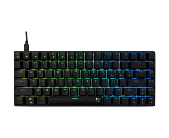 White Shark GK-005121 Hamachi Mechanical RGB / US - Blue SW.