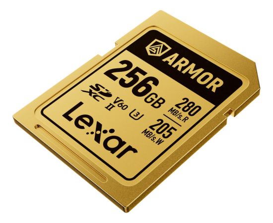 Lexar карта памяти SDXC 256GB Armor Gold UHS-II U3