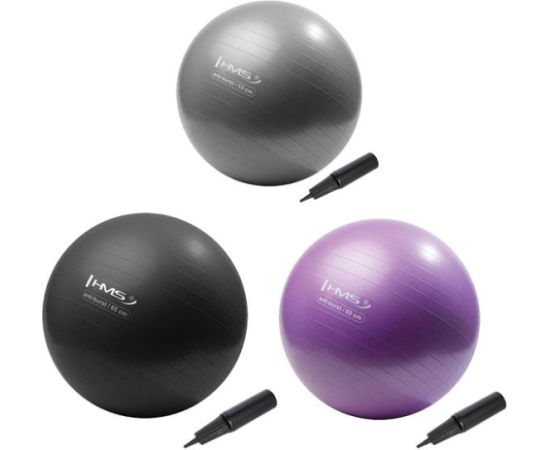 Komplekts SET OF 13 GYM BALLS YB02 + STR43 RACK HMS