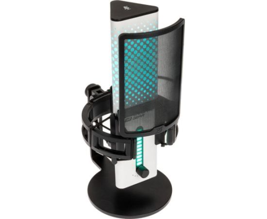 MikrofonS Endgame Gear XSTRM USB