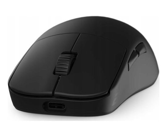 DATORPELE Endgame Gear OP1we Wireless Gaming Mouse - black
