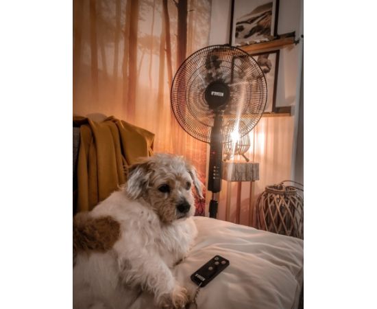 Noveen N'OVEEN F455 16"/40 cm standing fan with remote control, Black