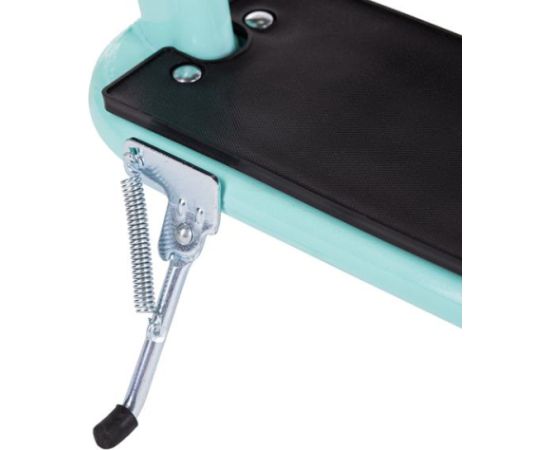 Skrejritenis WH222 MINT NILS EXTREME
