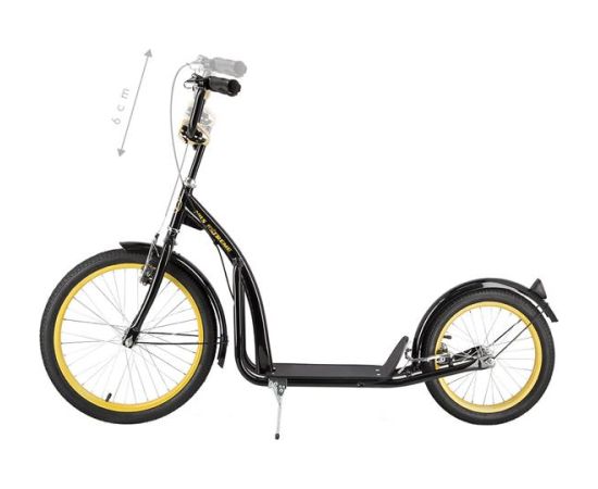 Skrejritenis WH200 BLACK / GOLD NILS EXTREME