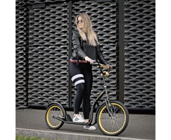 Skrejritenis WH200 BLACK / GOLD NILS EXTREME