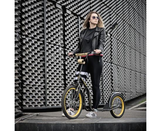 Skrejritenis WH200 BLACK / GOLD NILS EXTREME