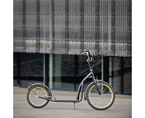 Skrejritenis WH200 BLACK / GOLD NILS EXTREME
