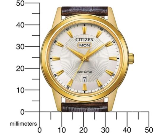 Citizen Eco-Drive AW0102-13AE