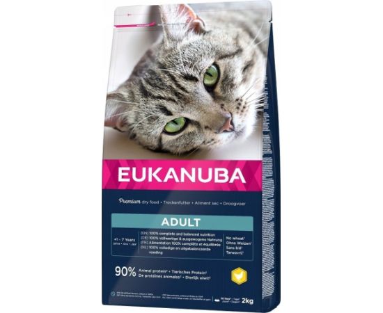 Eukanuba EUKANUBA Top Condition chicken - sucha karma dla kota - 2 kg