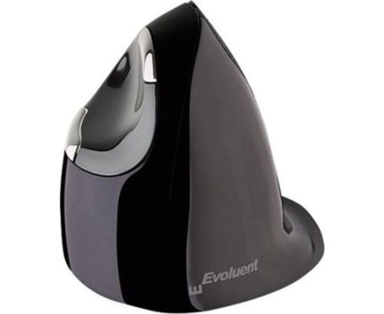 Datorpele Evoluent D Medium (VMDM)
