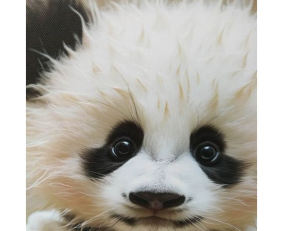 Kanva ar rāmi WALLY 40x50cm, pandas mazulis