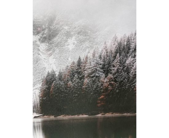 Wall art WALLY 60x80cm, snowy landscape