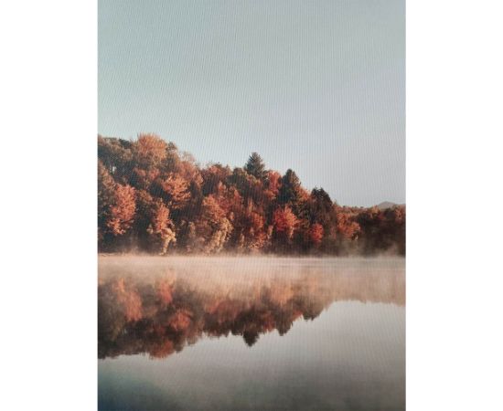 Wall art WALLY 60x80cm, lake landscape